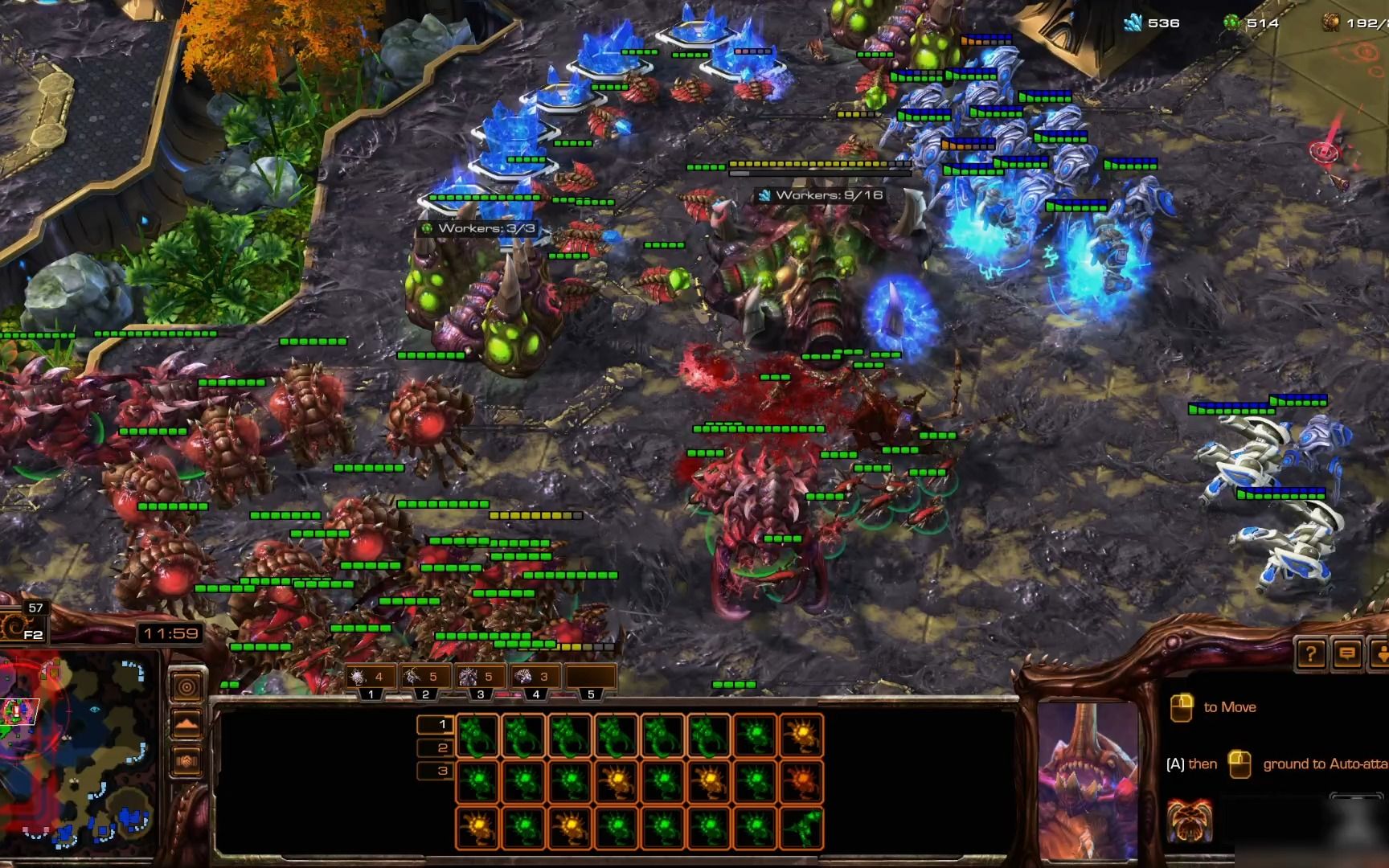 关于星际争霸2年度锦标战线上预赛天梯开启的信息 关于星际争霸2年度锦标战线上预赛天梯开启的信息