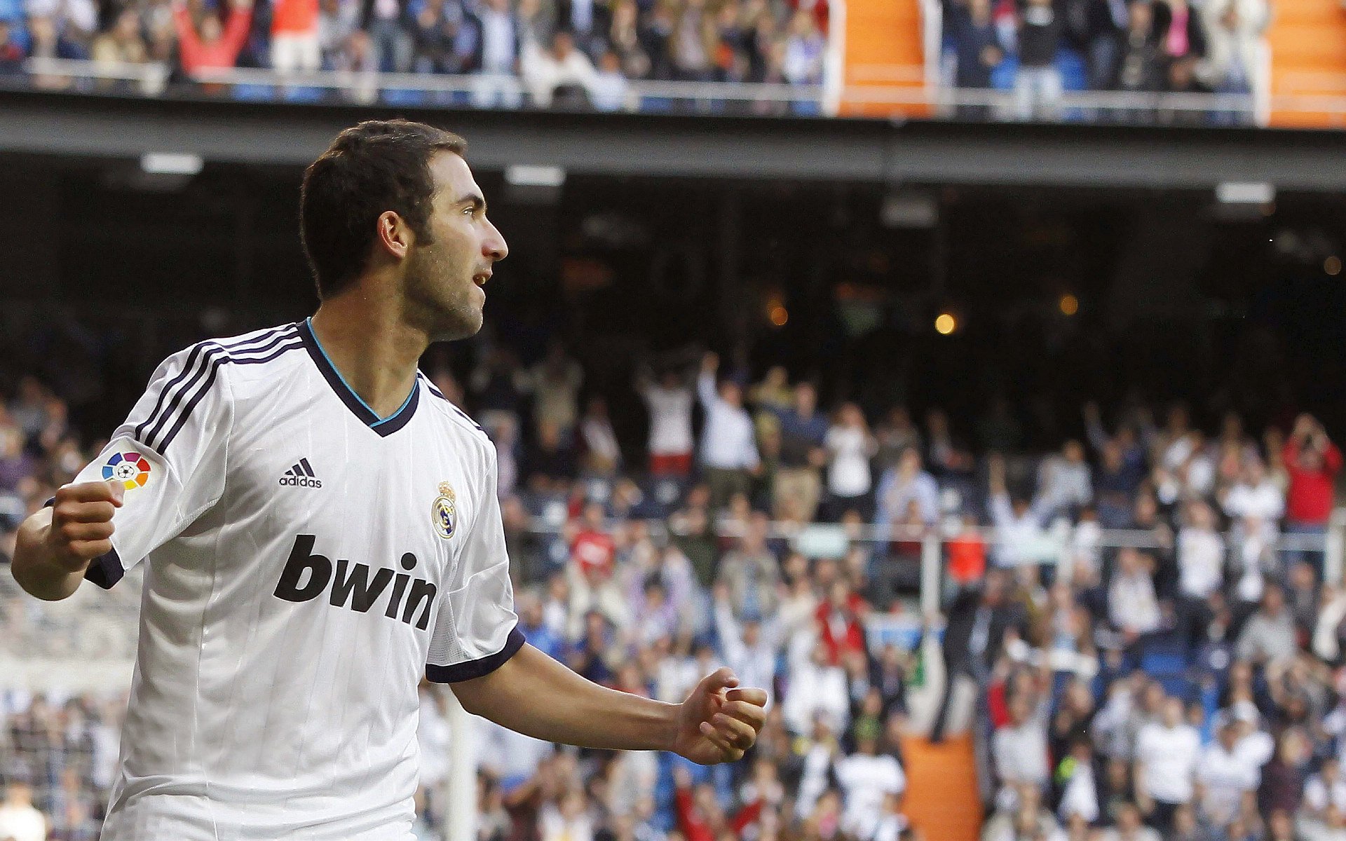 世界水球冠军杯:水中角逐的激烈竞争,水球冠军赛